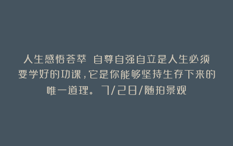 人生感悟荟萃：《自尊自强自立是人生必须要学好的功课，它是你能够坚持生存下来的唯一道理。》（7/28/随拍景观）