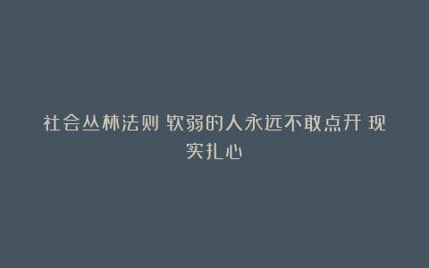 社会丛林法则：软弱的人永远不敢点开（现实扎心）