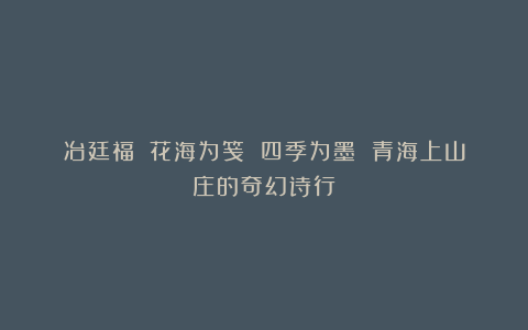 冶廷福||花海为笺 四季为墨 青海上山庄的奇幻诗行