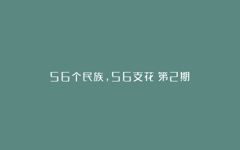 56个民族，56支花（第2期）