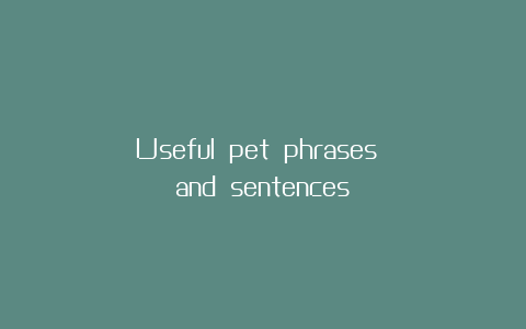 Useful pet phrases and sentences