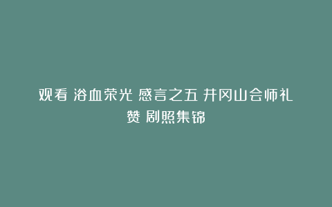 观看《浴血荣光》感言之五：井冈山会师礼赞（剧照集锦）