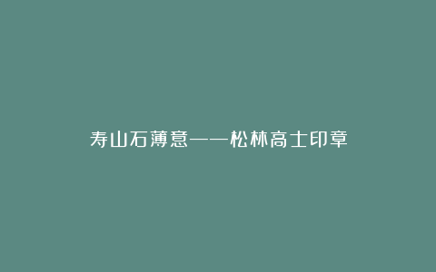 寿山石薄意——松林高士印章