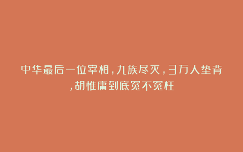 中华最后一位宰相，九族尽灭，3万人垫背，胡惟庸到底冤不冤枉？