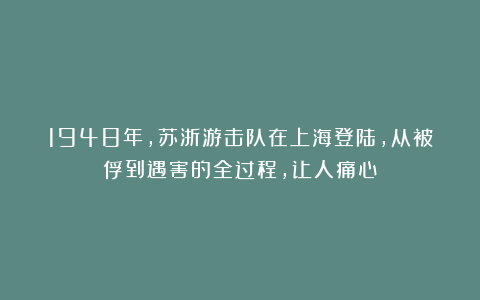 1948年，苏浙游击队在上海登陆，从被俘到遇害的全过程，让人痛心