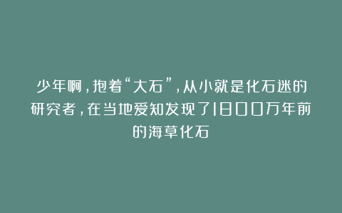 少年啊，抱着“大石”，从小就是化石迷的研究者，在当地爱知发现了1800万年前的海草化石