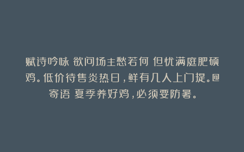 赋诗吟咏:欲问场主愁若何?但忧满庭肥硕鸡。低价待售炎热日,鲜有几人上门提。@寄语:夏季养好鸡,必须要防暑。