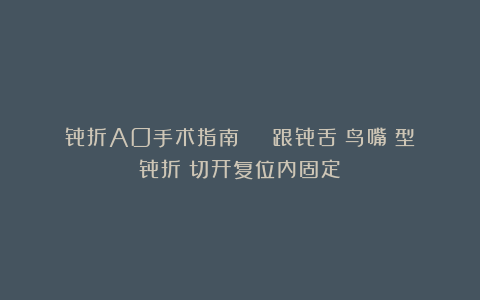 骨折AO手术指南 | 跟骨舌(鸟嘴)型骨折(切开复位内固定)