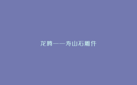龙腾——寿山石雕件