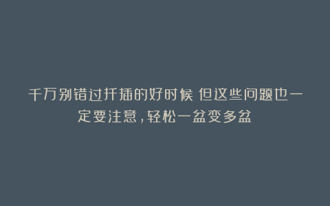 千万别错过扦插的好时候！但这些问题也一定要注意，轻松一盆变多盆！