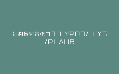 结构域包含蛋白3 LYPD3/ LY6/PLAUR