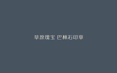 草原瑰宝：巴林石印章