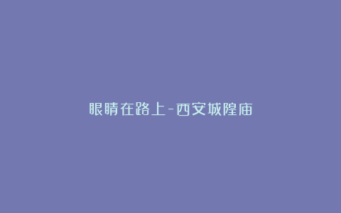 眼睛在路上-西安城隍庙