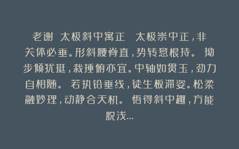 老谢：《太极斜中寓正》 太极崇中正，非关体必垂。形斜腰脊直，势转意根持。 拗步倾犹挺，栽捶俯亦宜。中轴如贯玉，劲力自相随。 若执铅垂线，徒生板滞姿。松柔融妙理，动静合天机。 悟得斜中趣，方能脱浅…