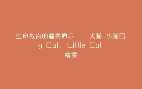 生命教育的温柔启示——《大猫，小猫Big Cat, Little Cat 》精读