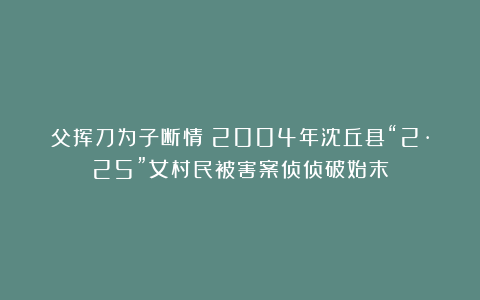 父挥刀为子断情！2004年沈丘县“2·25”女村民被害案侦侦破始末