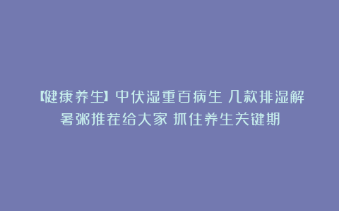 【健康养生】中伏湿重百病生！几款排湿解暑粥推荐给大家！抓住养生关键期