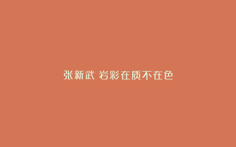 张新武：岩彩在质不在色