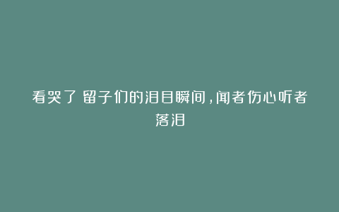 看哭了！留子们的泪目瞬间，闻者伤心听者落泪