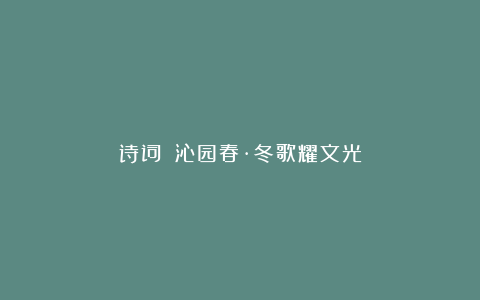 诗词||沁园春·冬歌耀文光