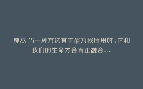 林杰：当一种方法真正能为我所用时，它和我们的生命才会真正融合……