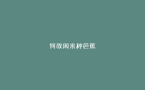 何故闲来种芭蕉