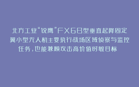 北方工业“锐鹰”FX6B型垂直起降固定翼小型无人机主要执行战场区域侦察与监控任务，也能兼顾攻击高价值时敏目标☆☆☆☆★