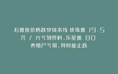 石斑鱼价格跌穿成本线：珍珠斑 19.5 元 / 斤亏到停料，东星斑 80% 养殖户亏损，何时能止跌？