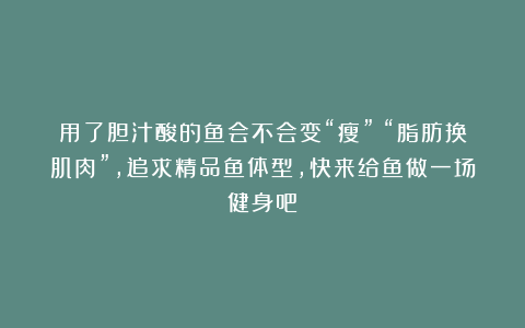 用了胆汁酸的鱼会不会变“瘦”？“脂肪换肌肉”，追求精品鱼体型，快来给鱼做一场健身吧！