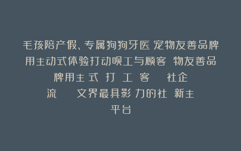 毛孩陪产假、专属狗狗牙医！宠物友善品牌用主动式体验打动员工与顾客！寵物友善品牌用主動式體驗打動員工與顧客 | 社企流 | 華文界最具影響力的社會創新主題平台