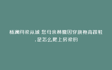 杨澜问梁从诫：您母亲林徽因穿旗袍高跟鞋，是怎么爬上房梁的？