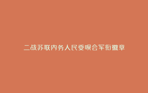 二战苏联内务人民委员会军衔徽章