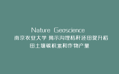 Nature Geoscience | 南京农业大学：揭示沟埋秸秆还田提升稻田土壤碳积累和作物产量
