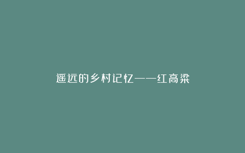 遥远的乡村记忆——红高粱