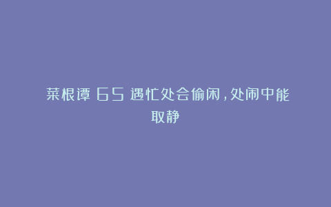 《菜根谭》65：遇忙处会偷闲，处闹中能取静