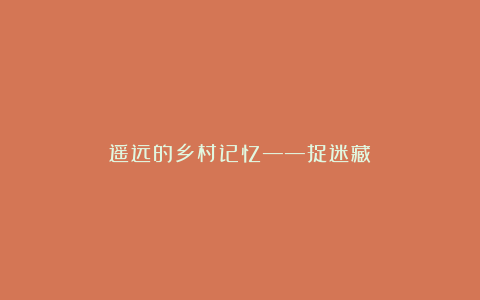 遥远的乡村记忆——捉迷藏