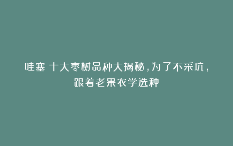 哇塞！十大枣树品种大揭秘，为了不采坑，跟着老果农学选种！