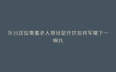 东台这位耄耋老人曾经是许世友将军麾下一员兵