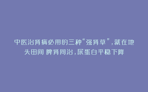 中医治肾病必用的三种“强肾草”，就在地头田间！脾肾同治，尿蛋白平稳下降