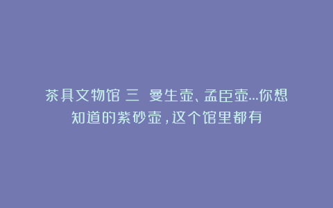 茶具文物馆（三）｜曼生壶、孟臣壶…你想知道的紫砂壶，这个馆里都有