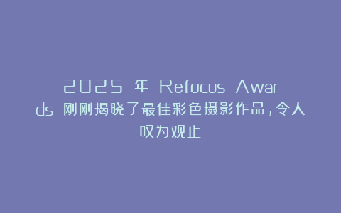 2025 年 Refocus Awards 刚刚揭晓了最佳彩色摄影作品，令人叹为观止