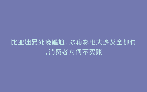 比亚迪夏处境尴尬，冰箱彩电大沙发全都有，消费者为何不买账？