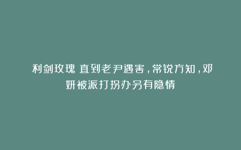 《利剑玫瑰》直到老尹遇害，常锐方知，邓妍被派打拐办另有隐情