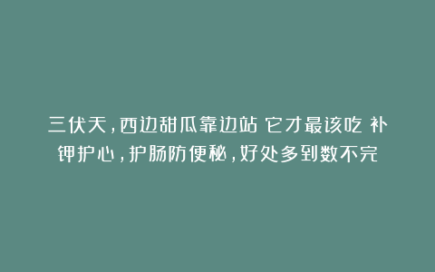 三伏天，西边甜瓜靠边站！它才最该吃！补钾护心，护肠防便秘，好处多到数不完