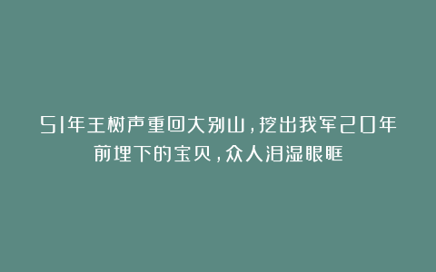 51年王树声重回大别山，挖出我军20年前埋下的宝贝，众人泪湿眼眶