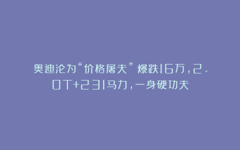 奥迪沦为“价格屠夫”！爆跌16万，2.0T+231马力，一身硬功夫