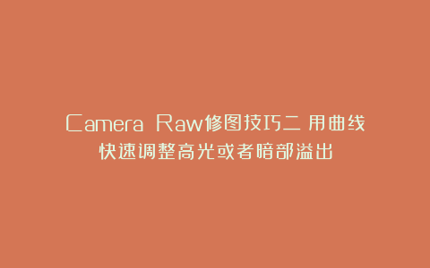 Camera Raw修图技巧二：用曲线快速调整高光或者暗部溢出