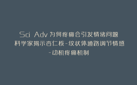Sci Adv：为何疼痛会引发情绪问题？科学家揭示杏仁核-纹状体通路调节情感-动机疼痛机制