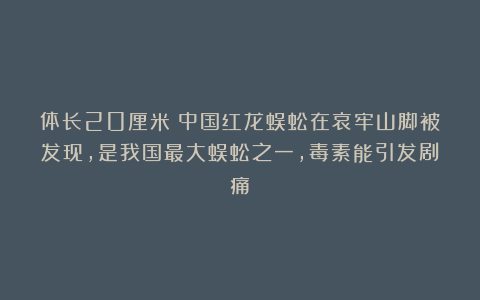 体长20厘米！中国红龙蜈蚣在哀牢山脚被发现，是我国最大蜈蚣之一，毒素能引发剧痛！
