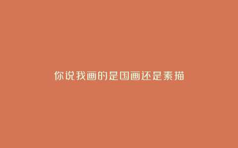 你说我画的是国画还是素描